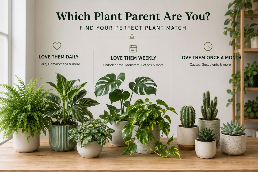 Which Plant Parent Are You? Find Your Perfect Houseplant Match