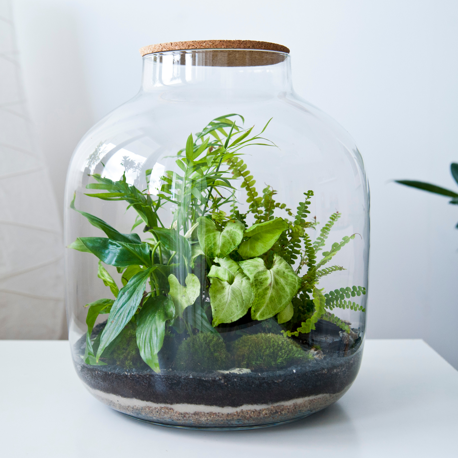 Great for Terrariums