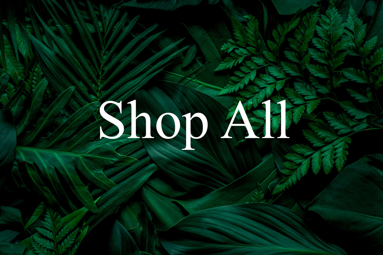 Shop All