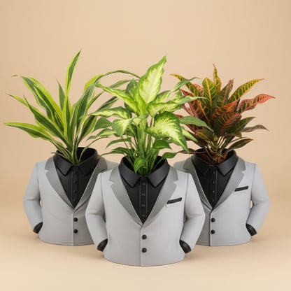 Mr. Suit Planter