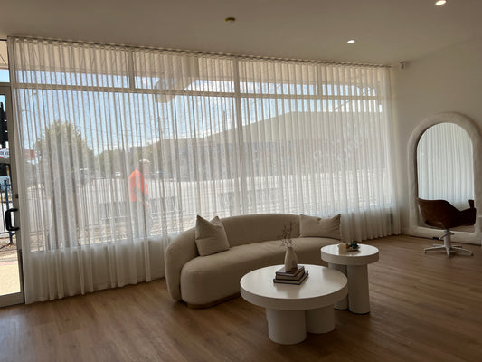 Monstera Burle Marx Flame