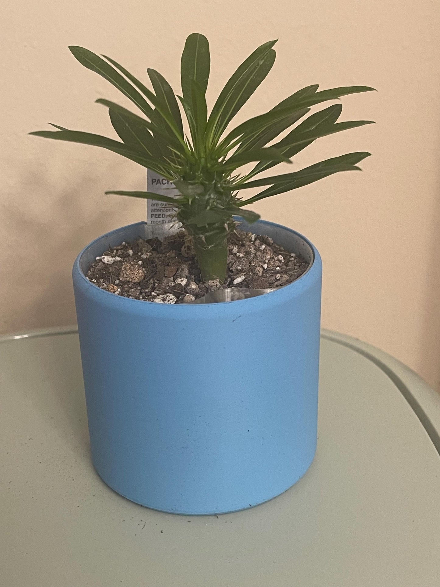 Self Watering Planter: PLA Eco-Friendly Plant Pot with Water Level Indicator