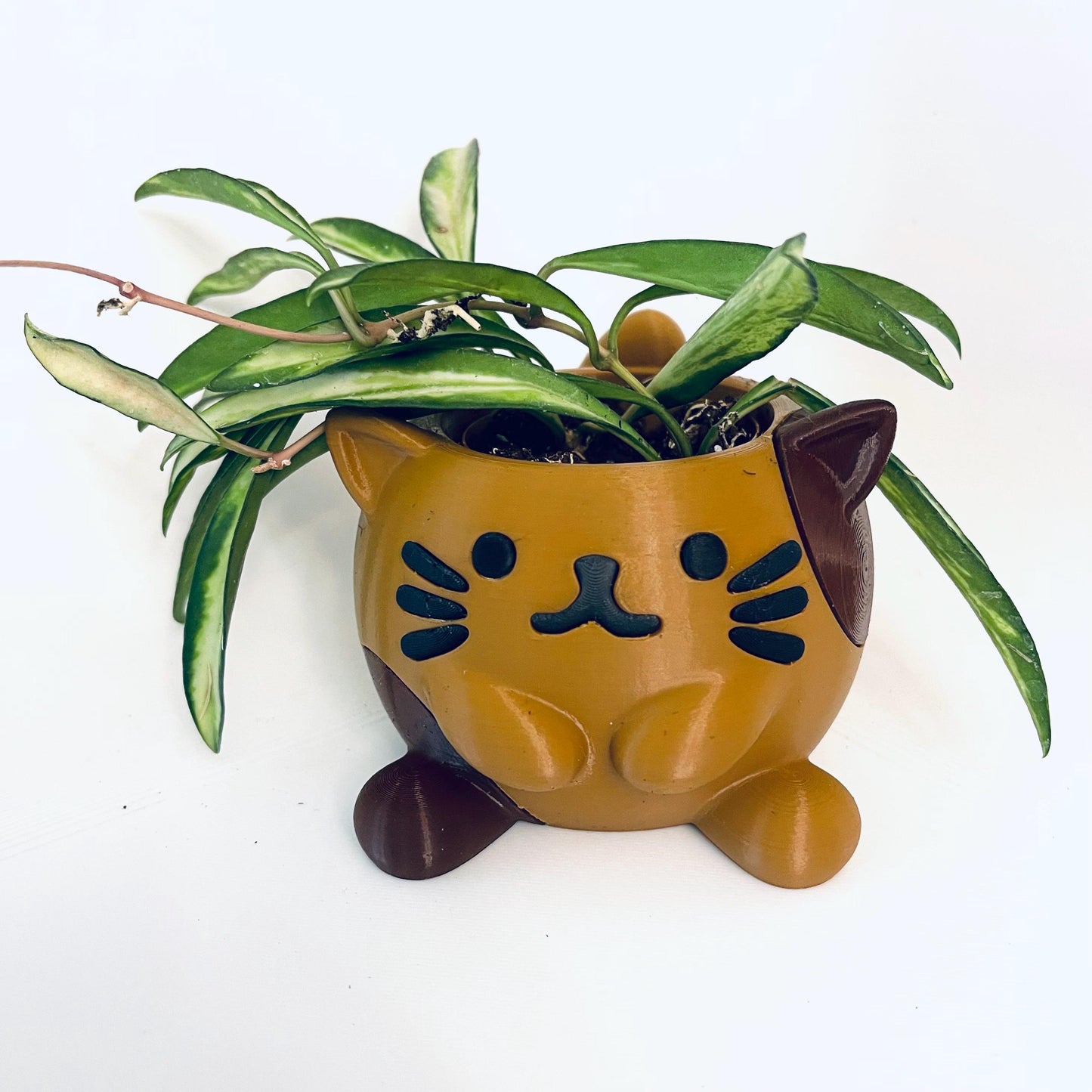 3D Printed Kitty Cat Planter Pot with Drip Tray