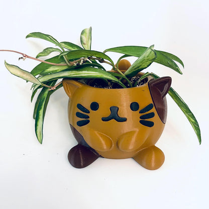 3D Printed Kitty Cat Planter Pot with Drip Tray