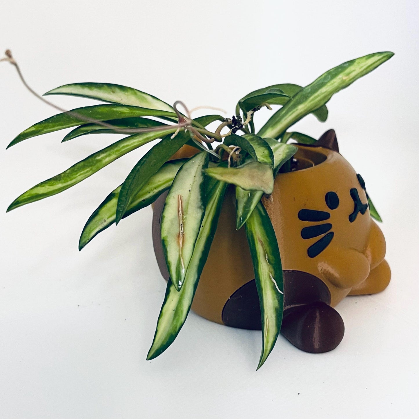 3D Printed Kitty Cat Planter Pot with Drip Tray