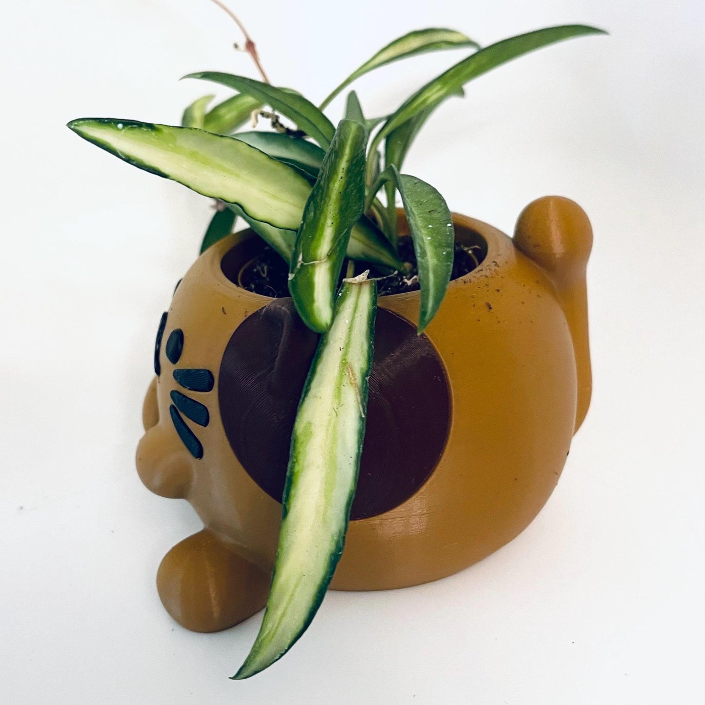 3D Printed Kitty Cat Planter Pot with Drip Tray