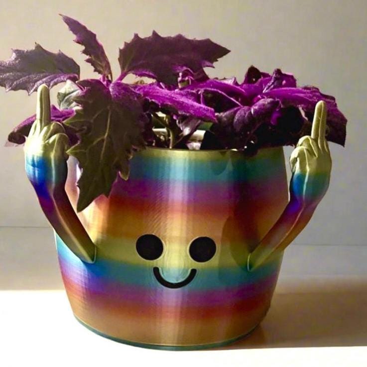 3D Printed Smiley Face Planter: Rebel Middle Fingers, Eco-Friendly PLA