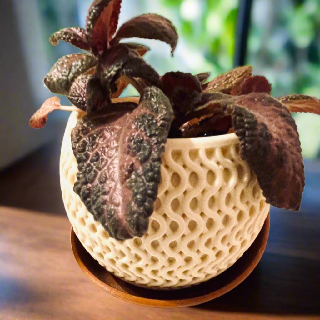 3D Printed Woven Plant Pot with Drip Tray: Two-Tone PLA Planter