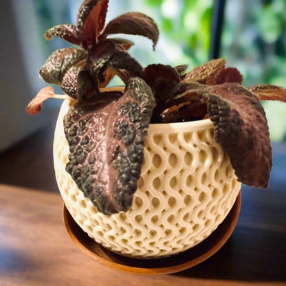 3D Printed Woven Plant Pot with Drip Tray: Two-Tone PLA Planter