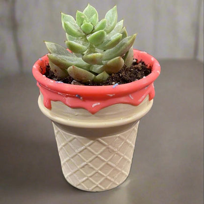 Ice Cream Cone Planter: 3D Printed Sprinkle Pot