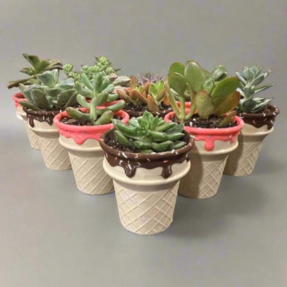 Ice Cream Cone Planter: 3D Printed Sprinkle Pot
