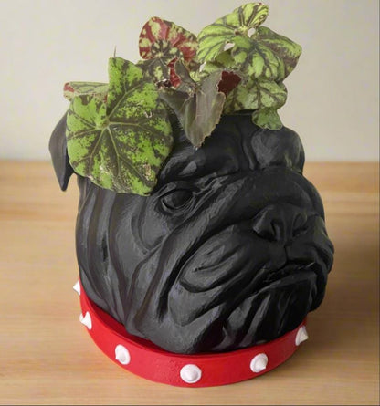 3D Printed Bulldog Planter with Drip Tray