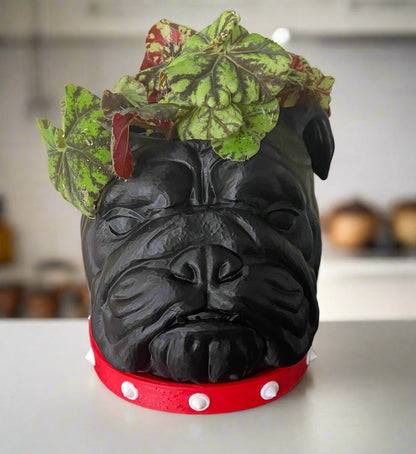 3D Printed Bulldog Planter with Drip Tray