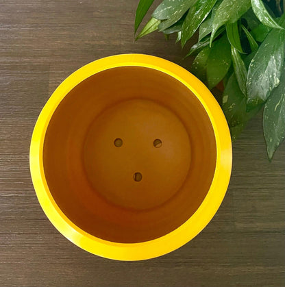 Winnie the Pooh Honey Pot PLA Planter with Drip Tray