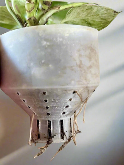 Self Watering Planter: PLA Eco-Friendly Plant Pot with Water Level Indicator