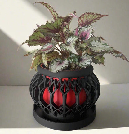 3D Printed Geometric Planter: Hollow Cage Design with Drip Tray