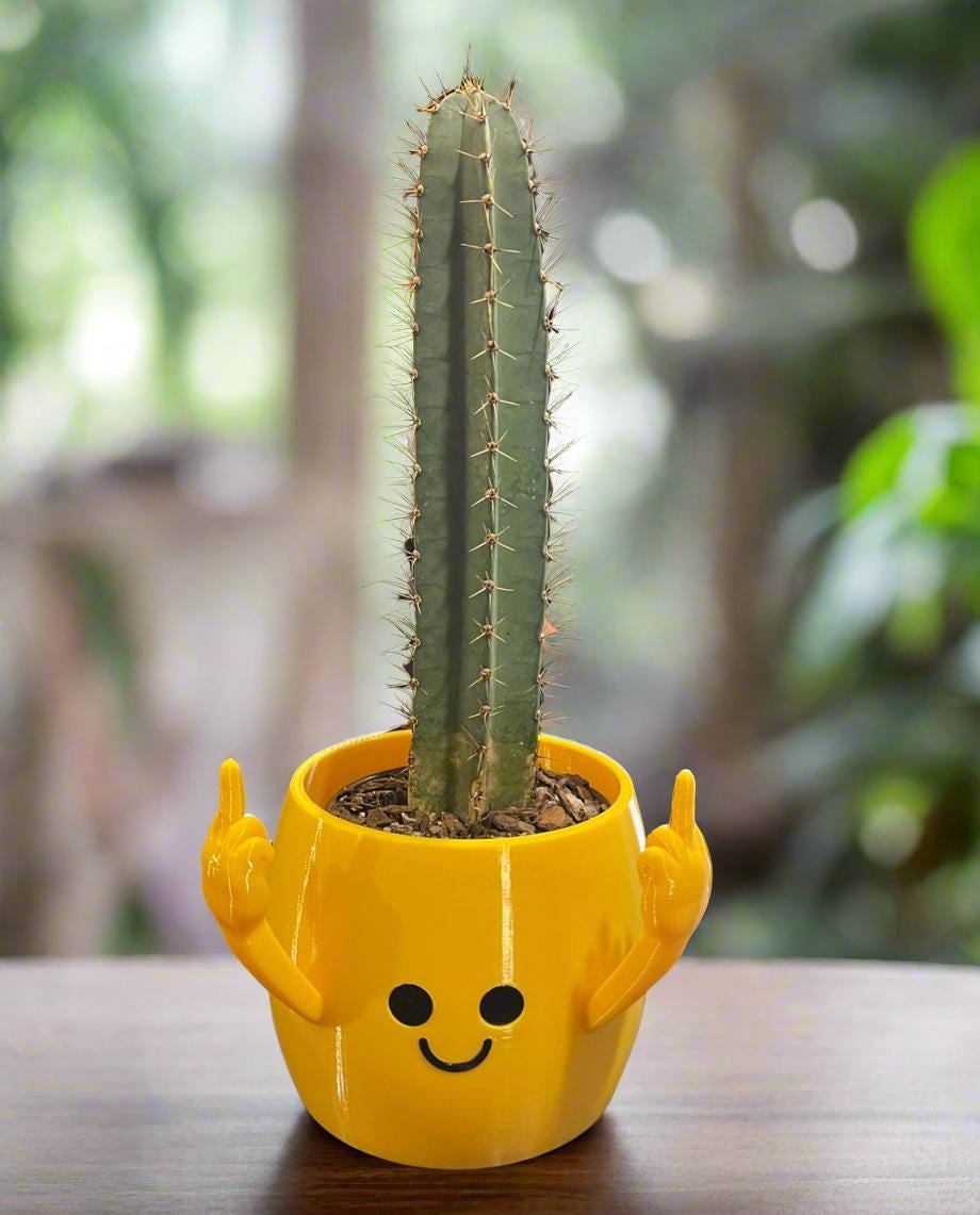 3D Printed Smiley Face Planter: Rebel Middle Fingers, Eco-Friendly PLA