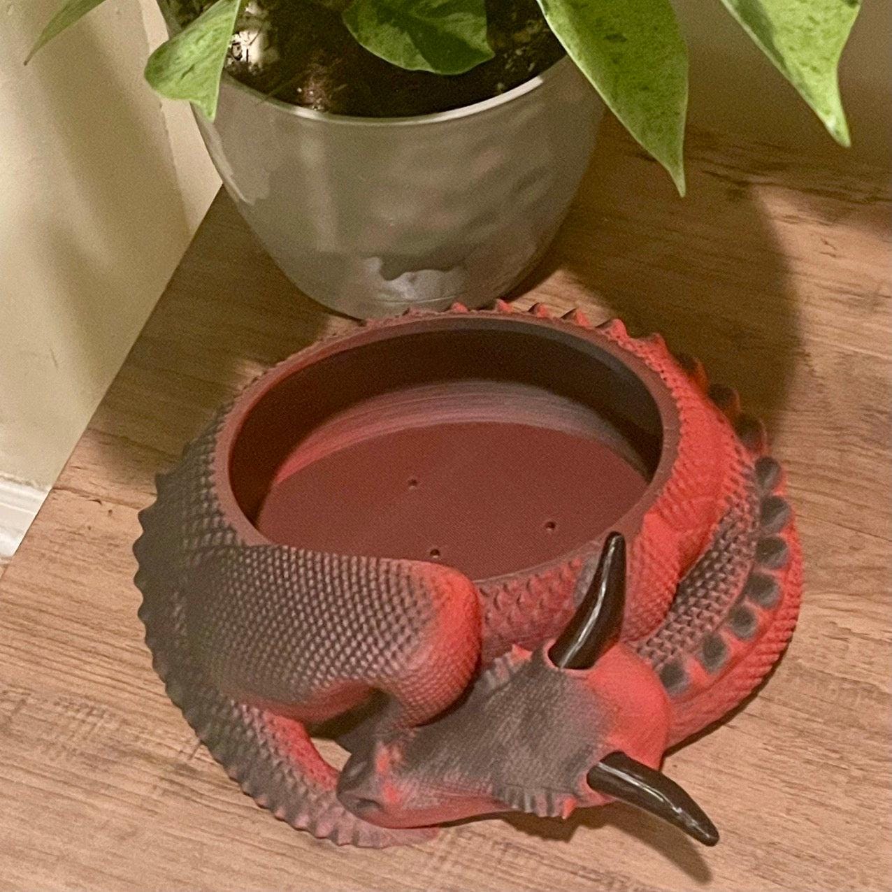 3D Printed Sleeping Dragon Planter: Medieval Fantasy Decor