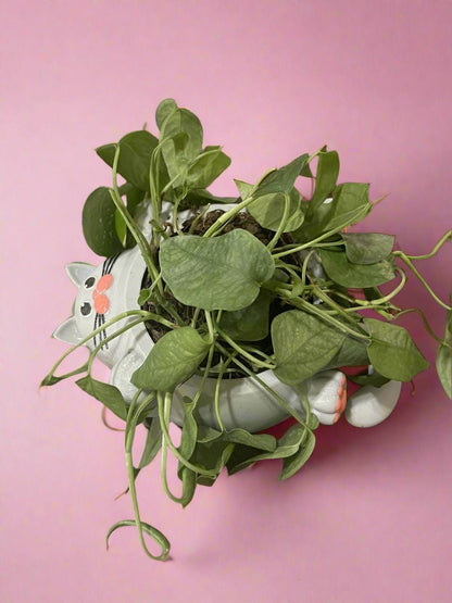 Cat Nap Planter Pot: 3D Printed PLA Eco-Friendly Decor