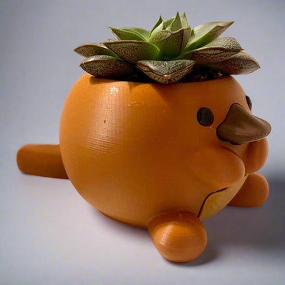 3D Printed Platypus Planter Pot: Playful Home Decor