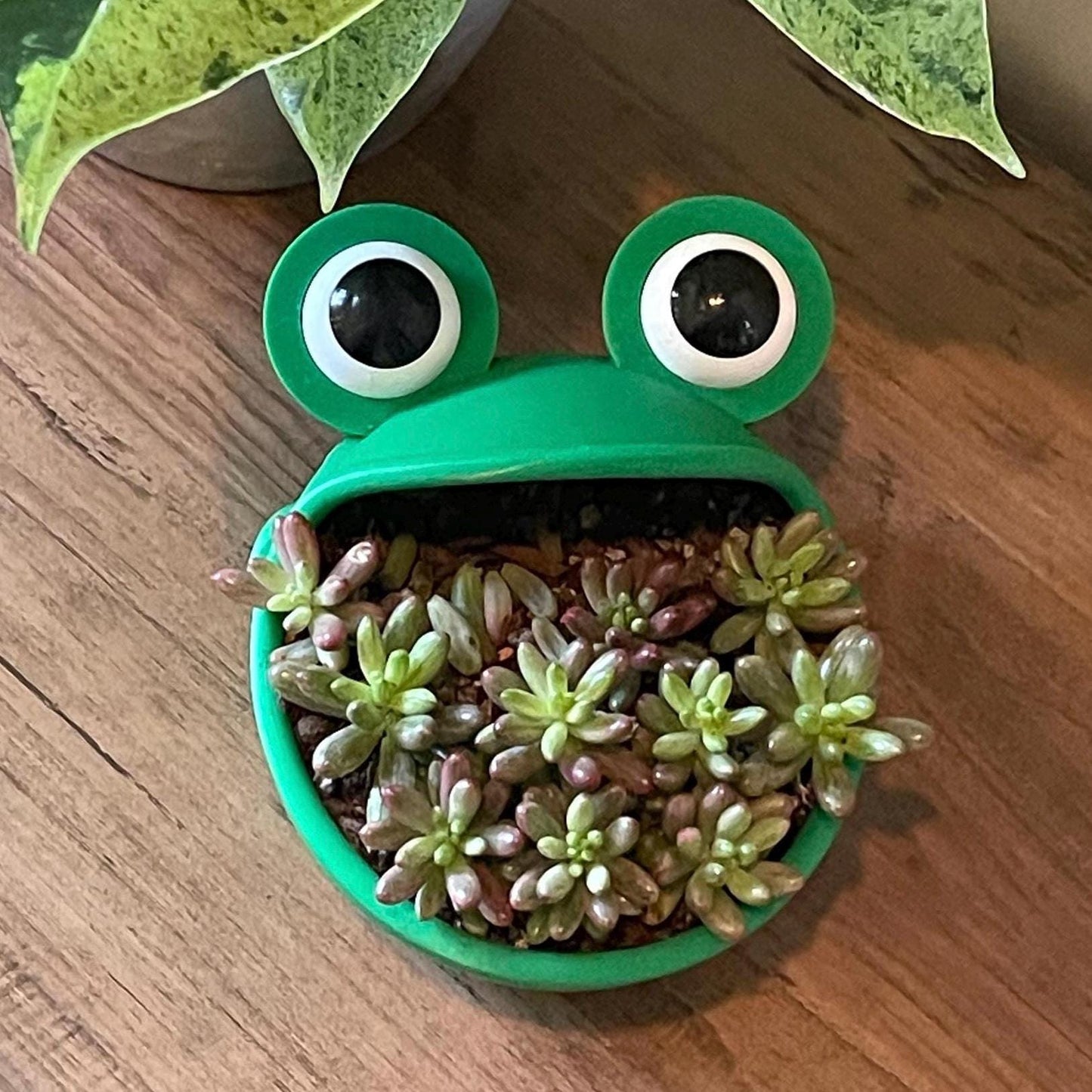 3D Printed Frog Planter: Big Mouth Green Pot, 5in
