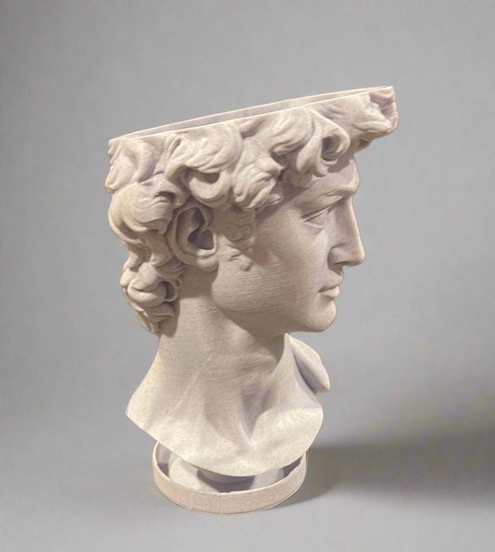 David Bust Planter: 3D Printed PLA with Drip Tray