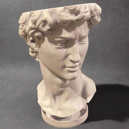 David Bust Planter: 3D Printed PLA with Drip Tray