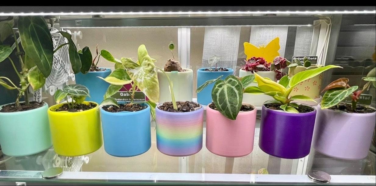 Self Watering Planter: PLA Eco-Friendly Plant Pot with Water Level Indicator