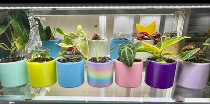 Self Watering Planter: PLA Eco-Friendly Plant Pot with Water Level Indicator