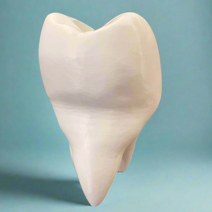 3D Printed Tooth Planter: Customizable PLA Planter