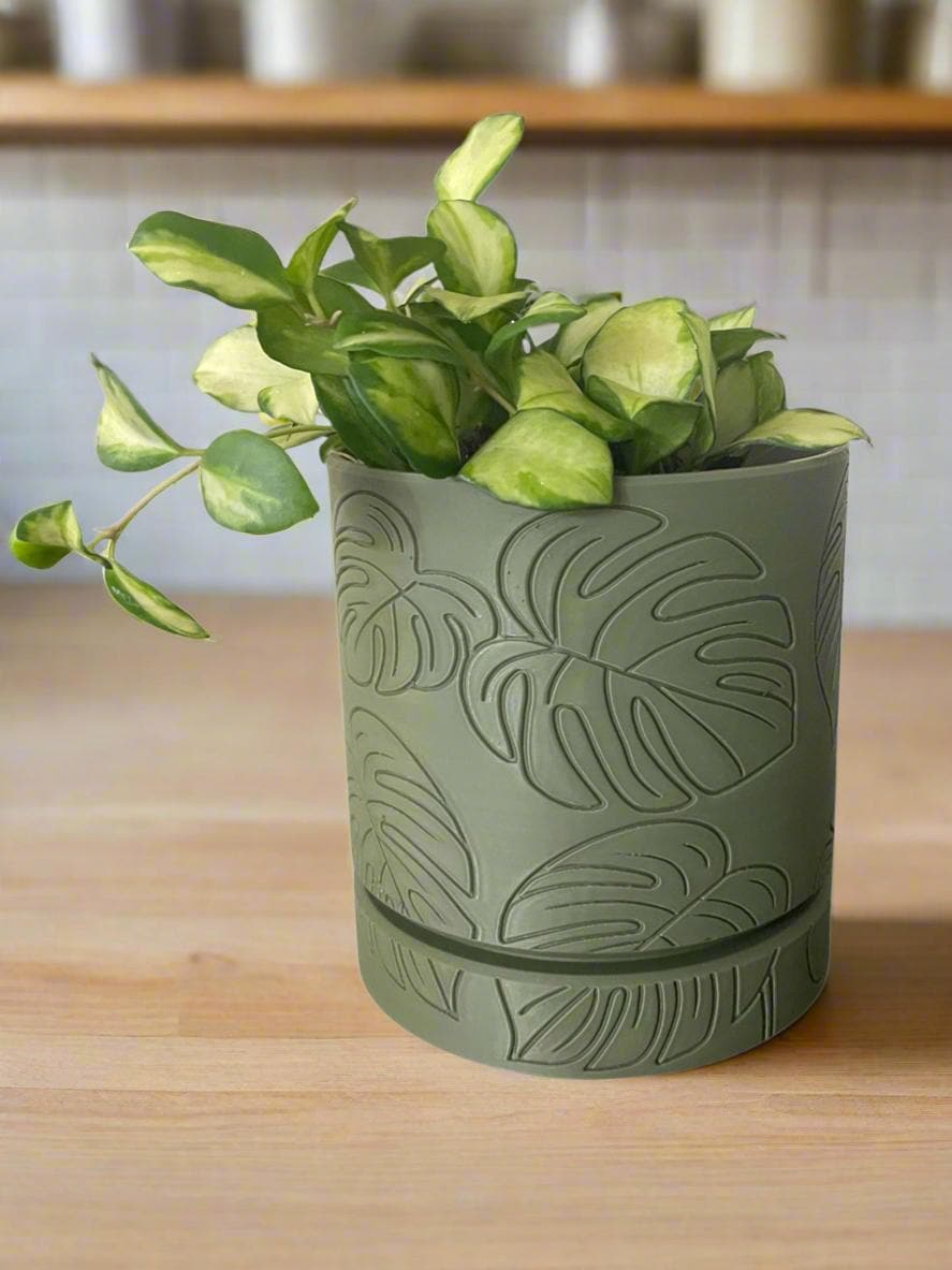Etched Monstera Leaf Planter with Drip Tray - 3D Printed PLA