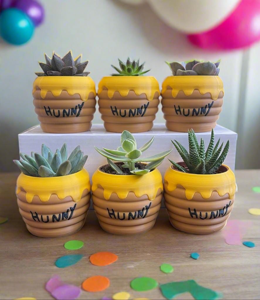 Six-Pack Hunny Pots & Succulents  Winnie the Pooh Party Favors/Baby Showers/Birthday Parties/Gifts