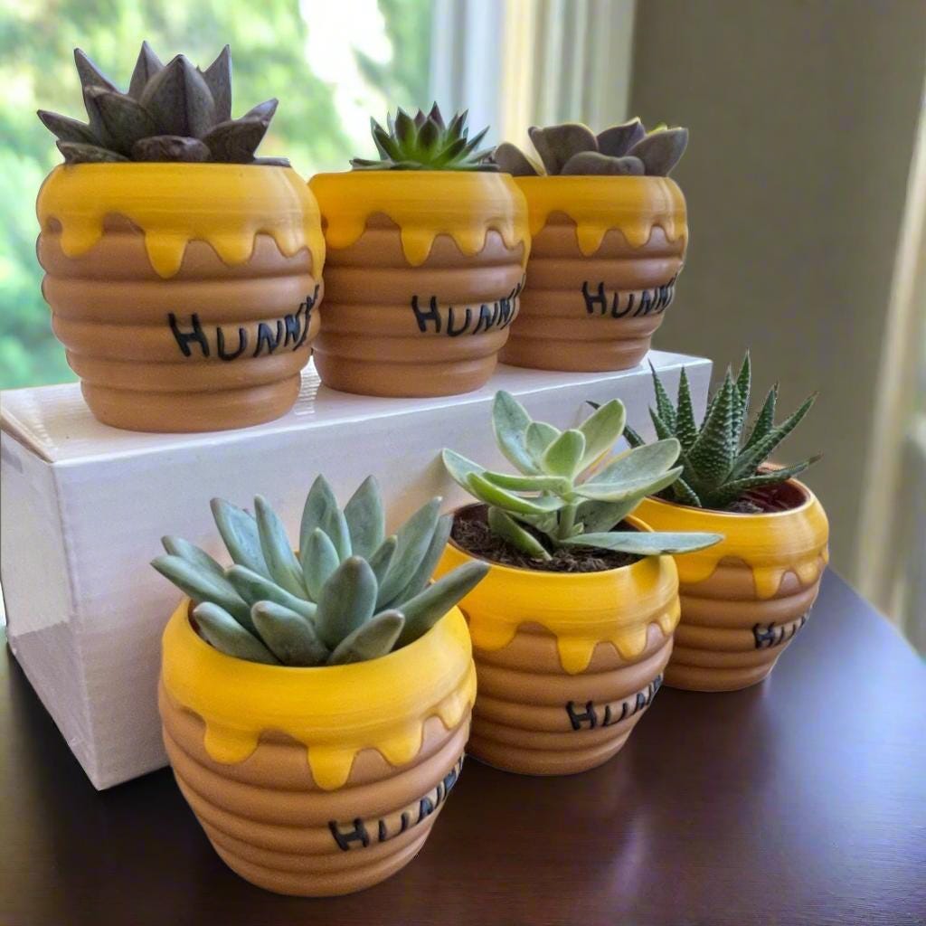Six-Pack Hunny Pots & Succulents  Winnie the Pooh Party Favors/Baby Showers/Birthday Parties/Gifts
