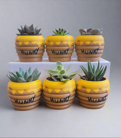 Six-Pack Hunny Pots & Succulents  Winnie the Pooh Party Favors/Baby Showers/Birthday Parties/Gifts