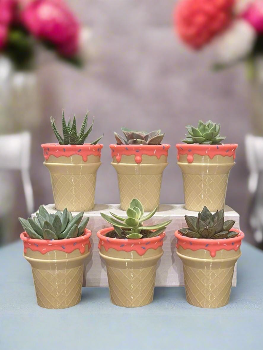 Six-Pack Ice Cream Cone Pots & Succulents  Party Favors/Baby Showers/Birthday Parties/Gifts