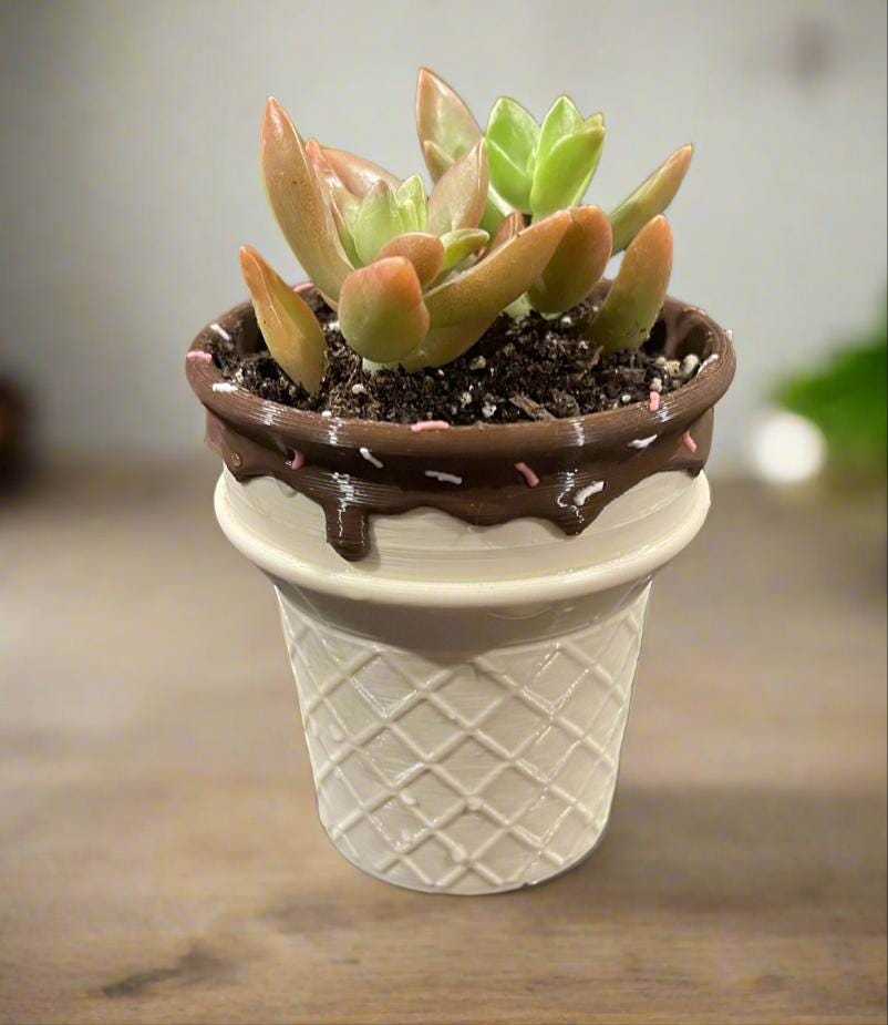 Six-Pack Ice Cream Cone Pots & Succulents  Party Favors/Baby Showers/Birthday Parties/Gifts