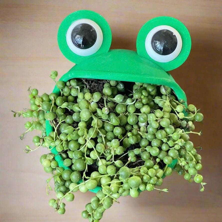 3D Printed Frog Planter: Big Mouth Green Pot, 5in