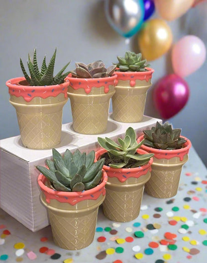 Six-Pack Ice Cream Cone Pots & Succulents  Party Favors/Baby Showers/Birthday Parties/Gifts