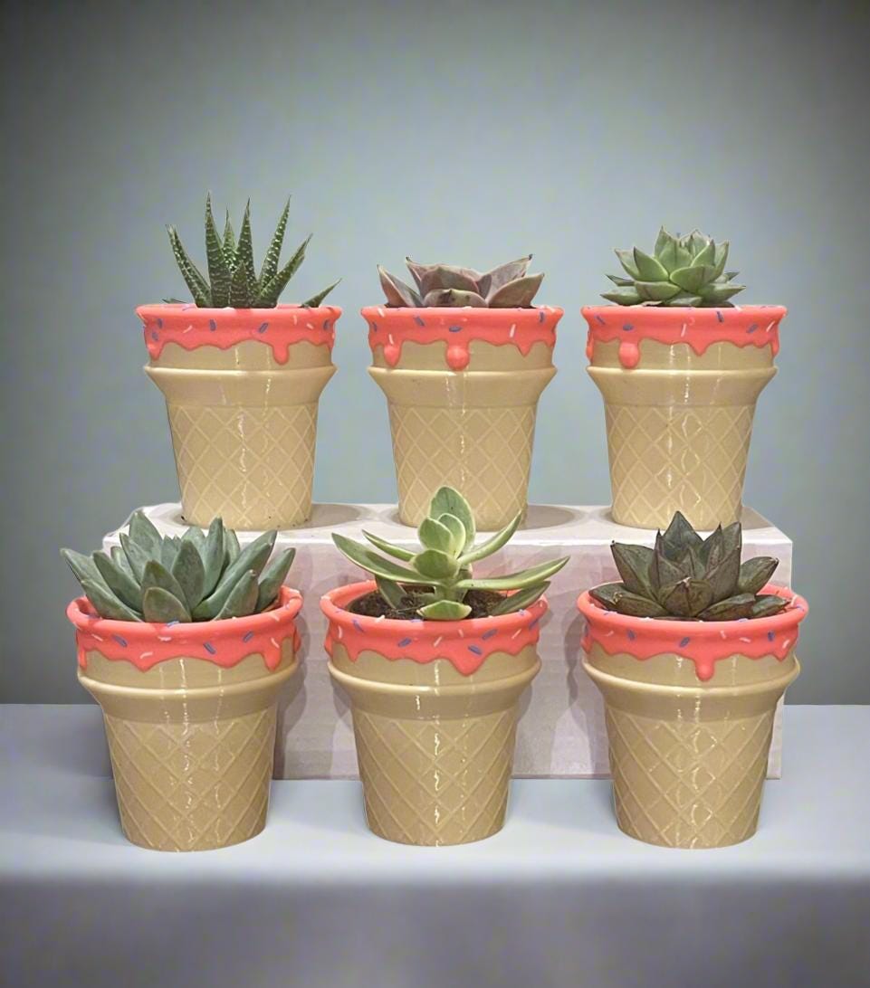 Six-Pack Ice Cream Cone Pots & Succulents  Party Favors/Baby Showers/Birthday Parties/Gifts