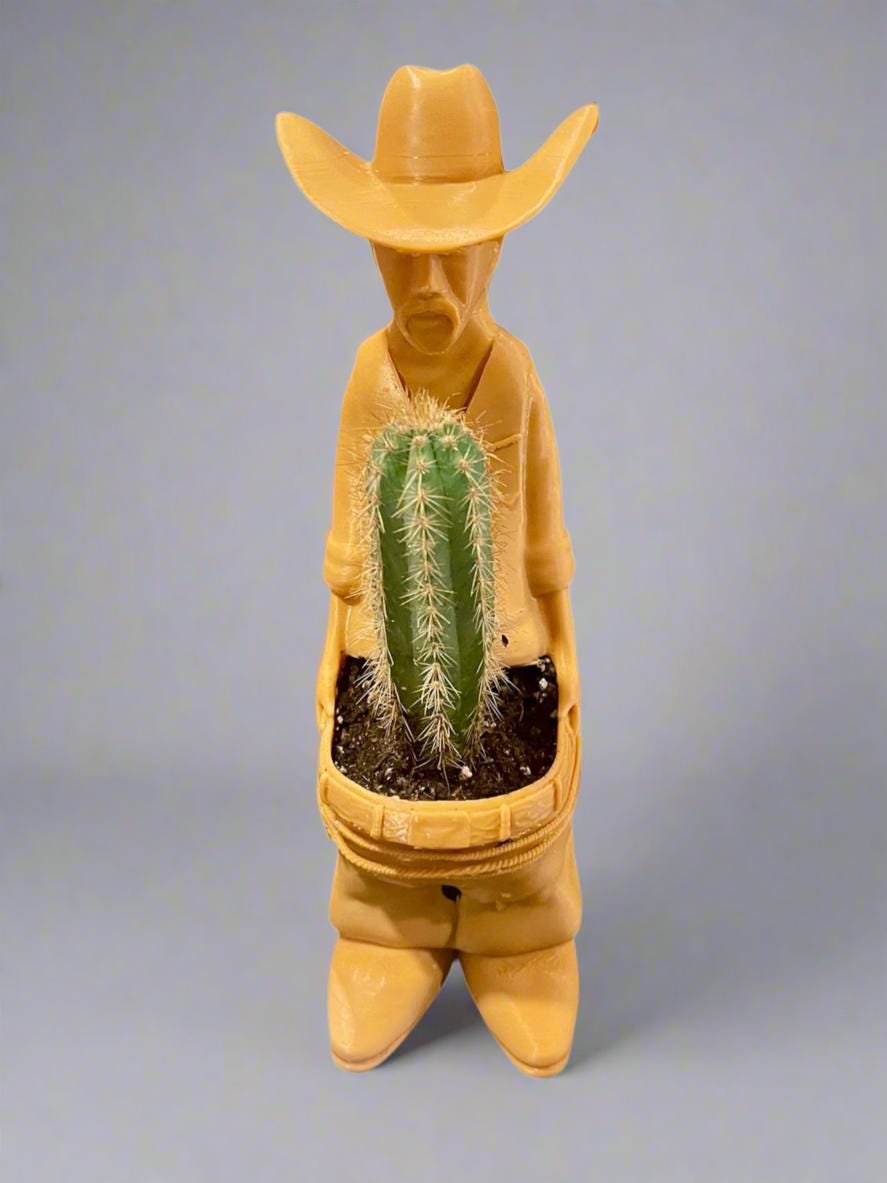 Naughty Cowboy Planter  3D Printed Funny Indoor Plant Pot, Succulent or Cactus Holder, Unique Gag Gift, Quirky Home Decor