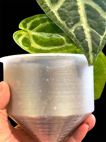 Clear Self-Watering Planter: 3D Printed Eco-Friendly Pot