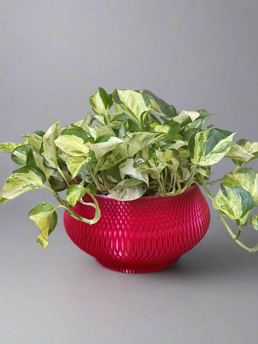 3D Printed Woven Bowl Planter: Modern Architecture Design