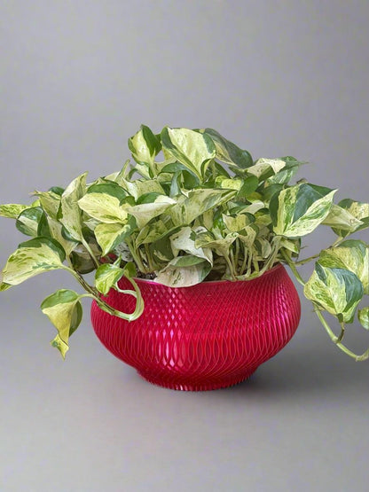 3D Printed Woven Bowl Planter: Modern Architecture Design