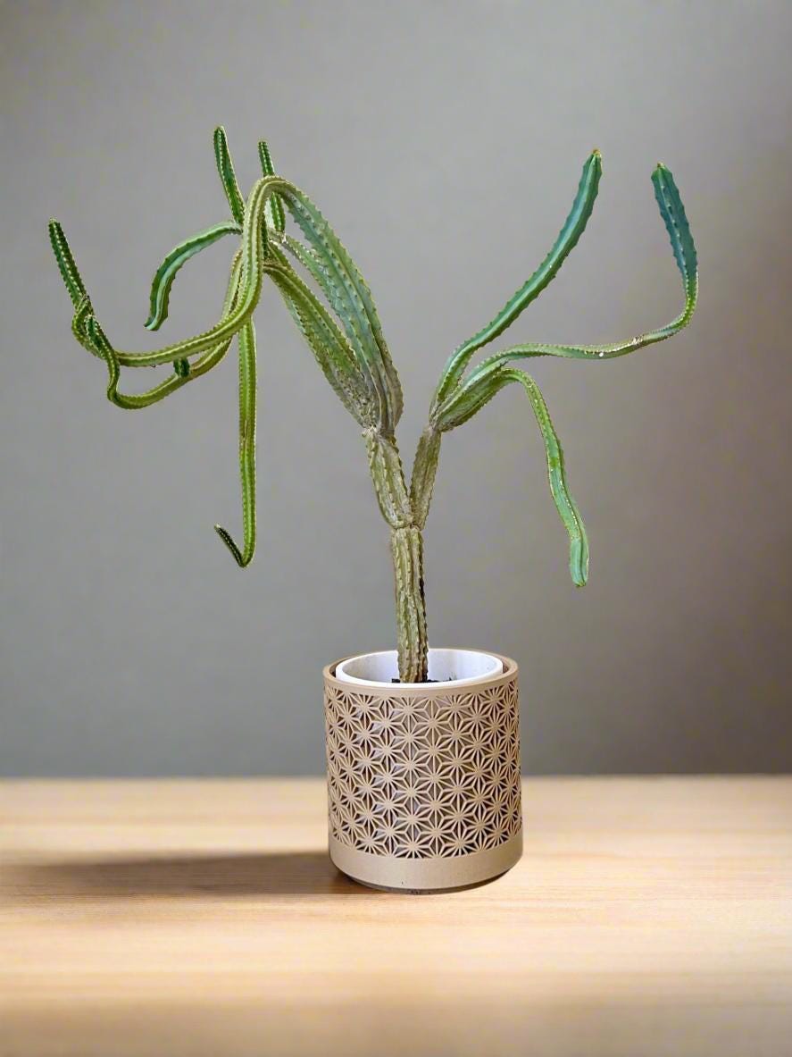 Kumiko-Inspired 3D Printed Planter  Precision, Beauty, Function