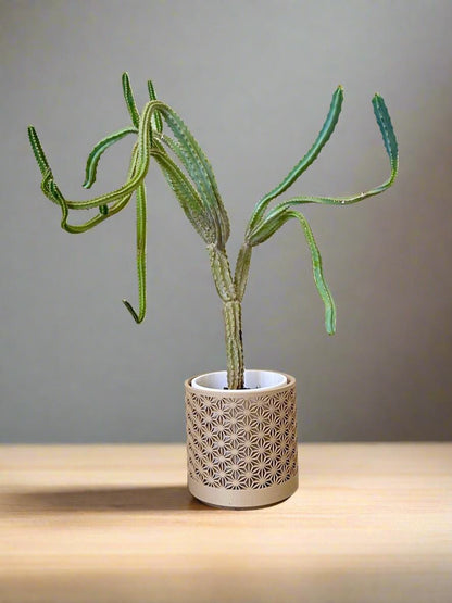Kumiko-Inspired 3D Printed Planter  Precision, Beauty, Function