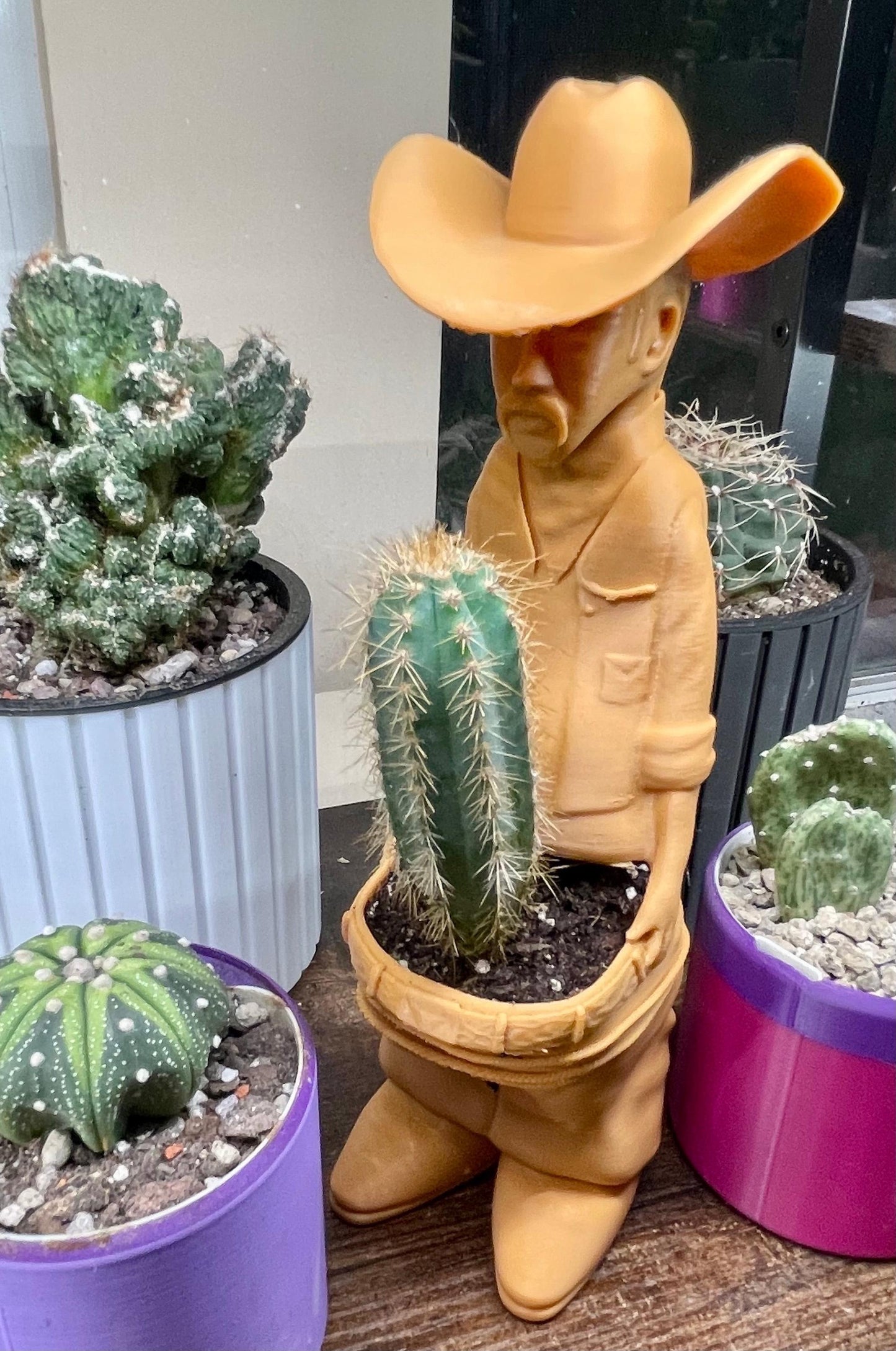 Naughty Cowboy Planter  3D Printed Funny Indoor Plant Pot, Succulent or Cactus Holder, Unique Gag Gift, Quirky Home Decor