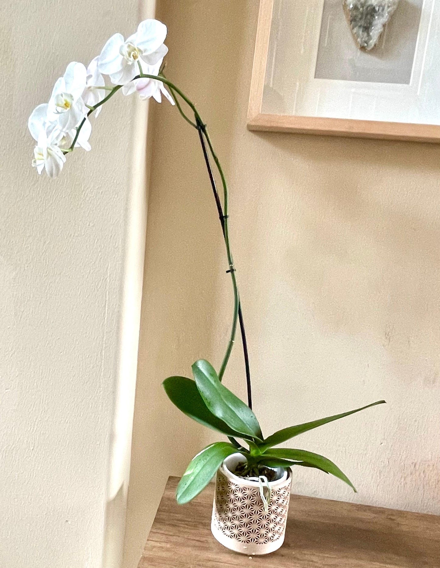 Kumiko-Inspired 3D Printed Planter  Precision, Beauty, Function