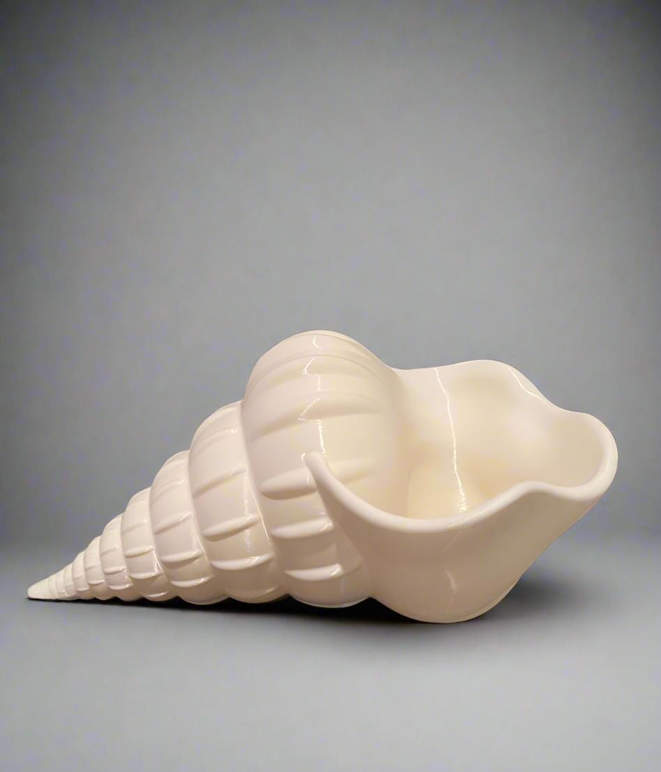 Conch Shell Planter Pot: Beach Coastal Home Decor