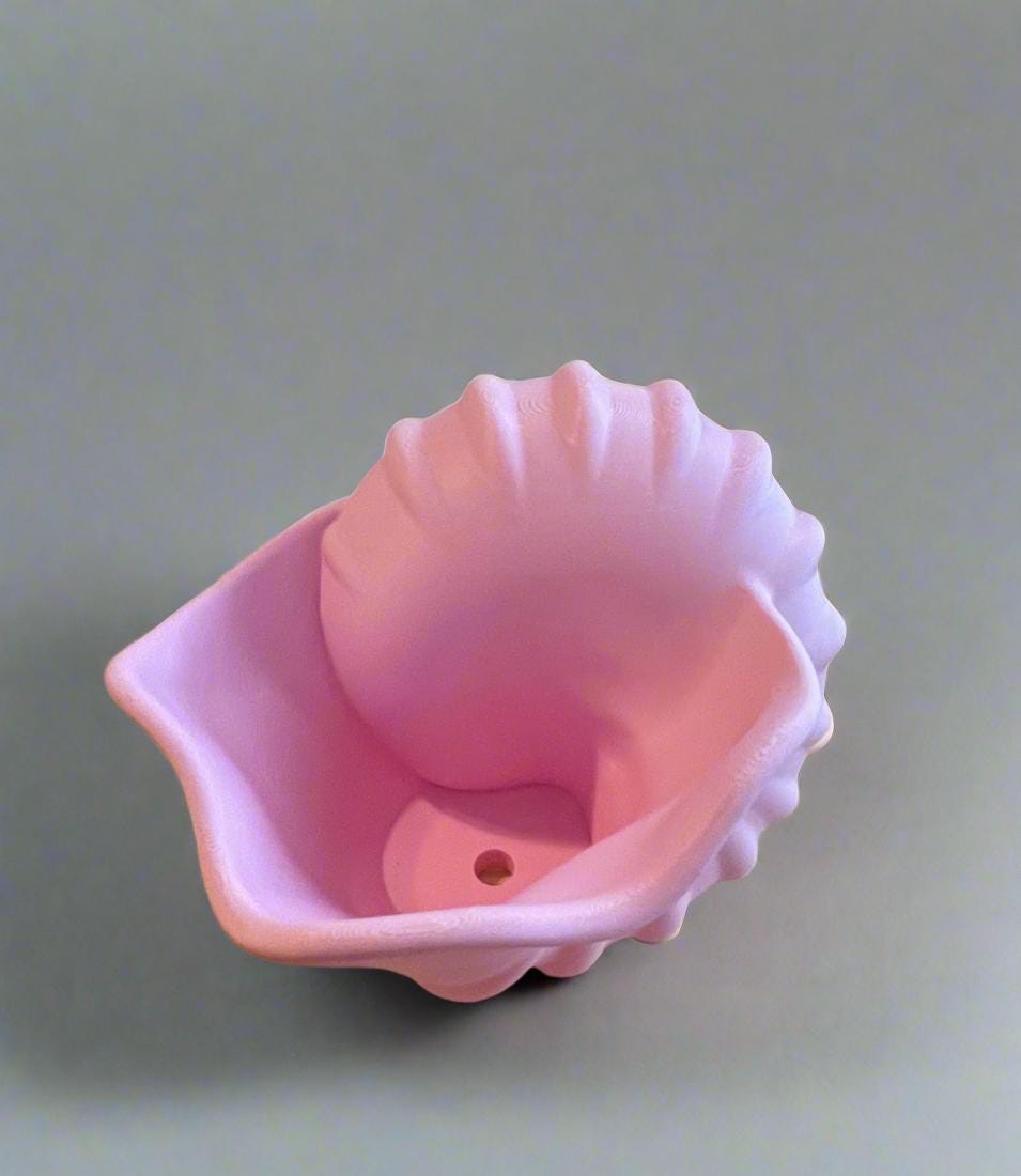 Conch Shell Planter Pot: Beach Coastal Home Decor